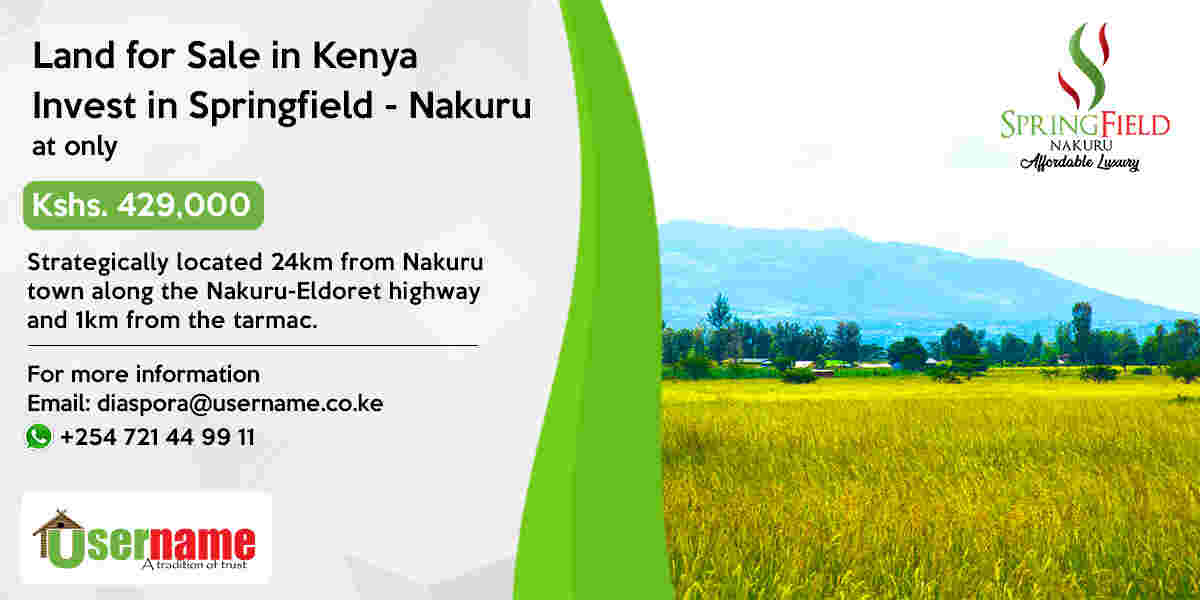 Springfield-Nakuru by Username Investment