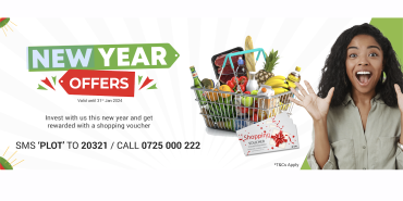 Let Us Not Just Dream; Let Us Make it Happen with Username