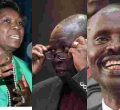 List of Nominated MPs, Senators Out