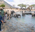 President Uhuru Takes On a Safari Ahead of Supreme Court Election Petition Ruling