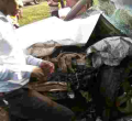 Three AIPCA Bishops Die in Kirinyaga Road Crash