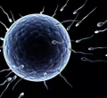 Kenyan Men Selected for Global Trial of a Male Birth Control Gel 