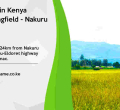 Affordable Investment Opportunity at Springfield - Nakuru