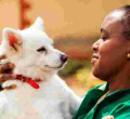 Wealthy Kenyans Splashing Up to $2,500 Per Year to Insure their Pets 