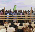 DP William Ruto Carries Sh10 Million in a Bag to Kajiado Goat Auction 