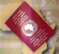 AU to Launch Single African Passports for Africans Next Month 
