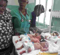 Outdated Traditions? Why Luhya Elders Want Three of the Quintuplets Delivered Last Week by Kakamega Woman Killed