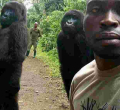 Photo of Two Gorillas Posing for a Selfie Like Humans Goes Viral Online