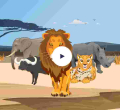 Download the King Simba Game Today: KingSimba Provides an Unmatched Experience