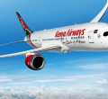 Lawyer Kicked Out of Nairobi-Bound Flight Sues Kenya Airways
