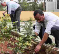Ethiopia Plants over 300 Million Trees in 12 Hours to Break World Record