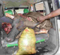 Three Busted with 200Kgs of Buffalo Meat Destined for Nairobi’s Burma Market