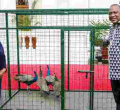 Uhuru Receives Special Gift of Peacocks from Tanzania President Magufuli 