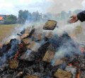 Kenyan Authorities Destroy Cocaine Worth Sh598 Million