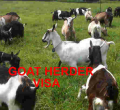 USCIS Proposes Change in H-2A Goat/Sheep Herders Visa Petitions