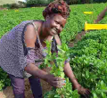 Meet Regina Mungai, a Diaspora Returnee Making a Fortune from Herbs Farming 