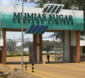 Mumias Sugar Company Fires All 700 Employees