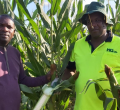 Meet Paul Irungu, a Kenyan-Born Man Making a Fortune from Growing and Selling Maize in Australia