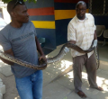 PHOTOS: Kenyan Man Busted Carrying 2.3-Meter Python Weighing 10Kgs in Suitcase
