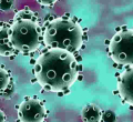 Coronavirus Cases in Kenya Jump to 7 as 3 More People Test Positive