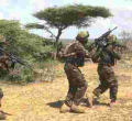 Kenyan Soldiers Kill 12 Al-Shabaab Fighters in Boni Forest