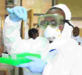 Kenyan Scientists Develop Test Kits That Give Covid-19 Results within 15 Minutes