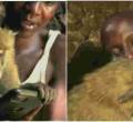 Kenyan Man Dumped by Wife and Children After Adopting Baboon