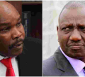 US-Based Lawyer Prof. Makau Mutua Slams Ruto for Cowering 'Under the Bed in Karen'