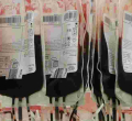 Kenyans Online Reject Government’s Appeal for Blood Donation