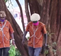 Kikuyu Elders Beg Trees to Accept Being Cut to Pave Way for Road Construction