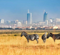 Nairobi National Park Expanded by 49,000 Acres 