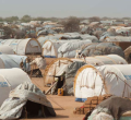 UNHCR Delists 14,000 Kenyans Registered as Refugees 