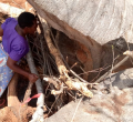 Pregnant Kenyan Woman and Her 6 Kids Live Inside Tree Stump for Months [PHOTOS]