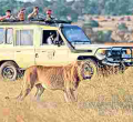 Kenya Named the World's Leading Safari Destination