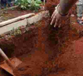 Kenyan Man Collapses and Dies While Addressing Mourners at His Wife's Burial 