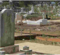 Lang’ata Cemetery in Nairobi to be Turned into a Forest in Land Swap Deal