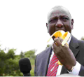 Ruto Reveals Plans to Ditch Jubilee Party for UDA