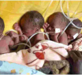 Kenyan Man Seeks Help from Well-Wishers as Wife Gives Birth to Five Babies 