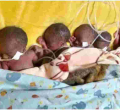 Kenyan Family Blessed with Quintuplets in Mourning as One of the 5 Babies Dies  