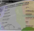 Government Warns of Cybercriminals Targeting Visitors to Kenya in e-Visa Scam 