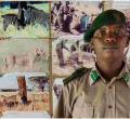 How Class 8 Dropout John Pameri Became a Pilot and Manager at Lewa Conservancy 