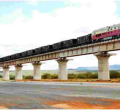 Clever Elephants Mastered All SGR Underpasses at Tsavo in Just Three Months