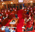 Kenyan Senators Clash over Planned Trip to the US