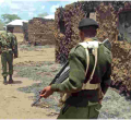 UK Denies Claims That Bandits Are Using British Army Weapons to Wreak Havoc in Laikipia