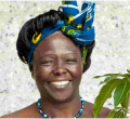 MPs Want Karura Forest Renamed After Prof. Wangari Mathai