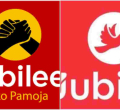 Jubilee Party to Unveil New Logo, Colors and Slogan as it Rebrands Ahead of 2022 Elections 
