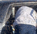 KRA Pays Tribute to its Tax Investigator Stung to Death by Bees 