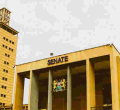 Senators Approve a Bill Seeking to Encourage Kenyans in Diaspora to Invest Back Home