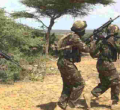 Kenyan Security Forces Kill 15 Al-Shabaab Fighters in Boni Forest 