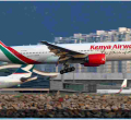Kenya Airways Vows to Stop Shipping Monkeys to the US